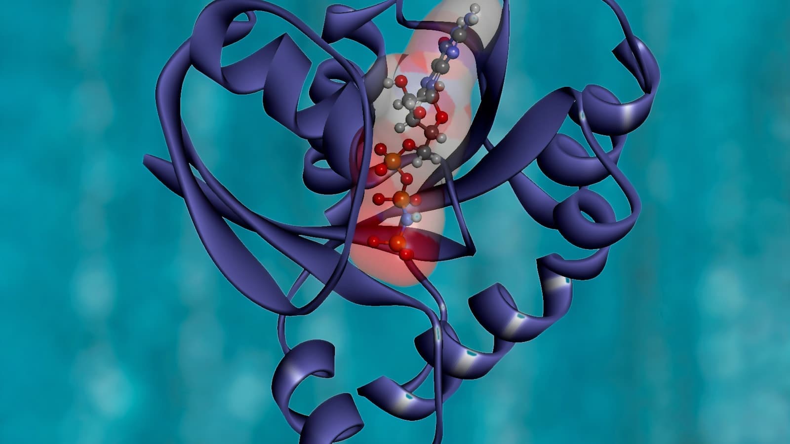Understanding the Complete Amino Acid Profile of Plant Proteins