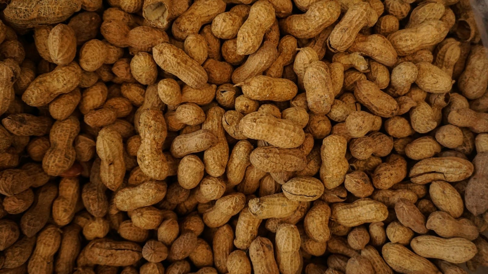 Unlocking Peanut Protein: Nutritional Insights & Quality
